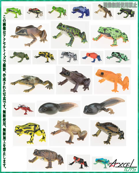 原色両生類カエル図鑑　【新改訂版】